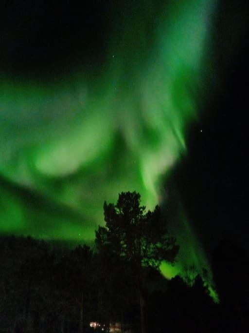 Koselig Og Moderne Leilighet, Meget Sentralt I Narvik Med Gratis Parkering! Bagian luar foto