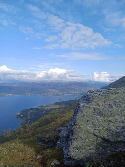 Koselig Og Moderne Leilighet, Meget Sentralt I Narvik Med Gratis Parkering! Bagian luar foto