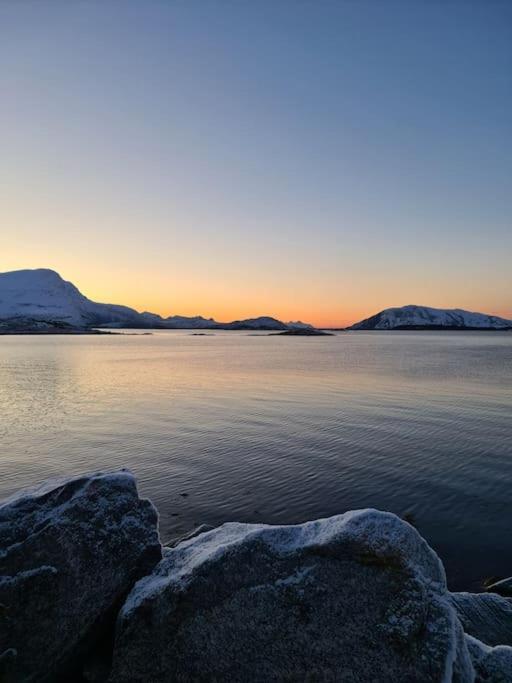 Koselig Og Moderne Leilighet, Meget Sentralt I Narvik Med Gratis Parkering! Bagian luar foto