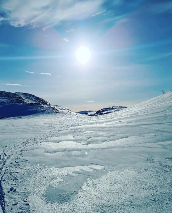 Koselig Og Moderne Leilighet, Meget Sentralt I Narvik Med Gratis Parkering! Bagian luar foto