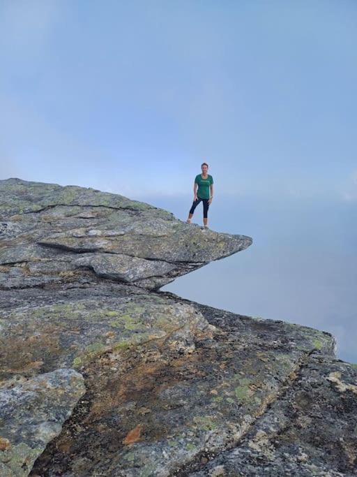 Koselig Og Moderne Leilighet, Meget Sentralt I Narvik Med Gratis Parkering! Bagian luar foto