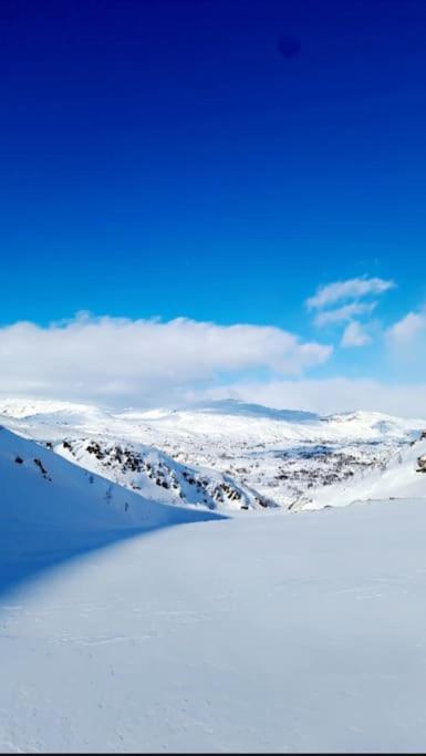 Koselig Og Moderne Leilighet, Meget Sentralt I Narvik Med Gratis Parkering! Bagian luar foto