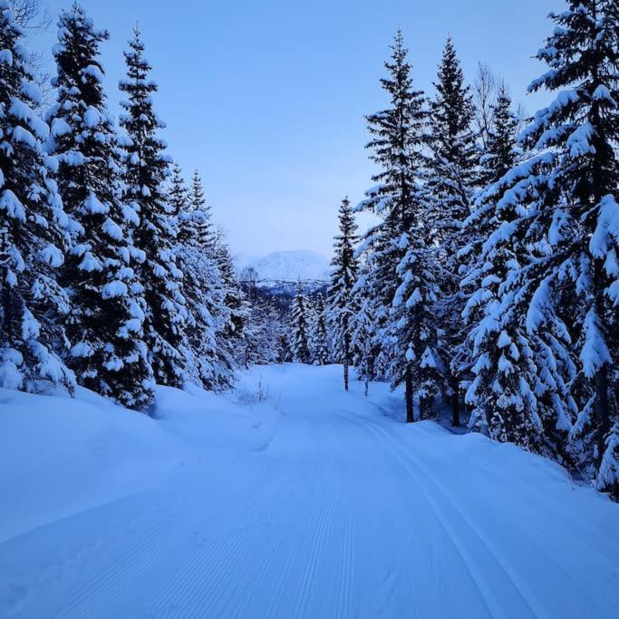 Koselig Og Moderne Leilighet, Meget Sentralt I Narvik Med Gratis Parkering! Bagian luar foto